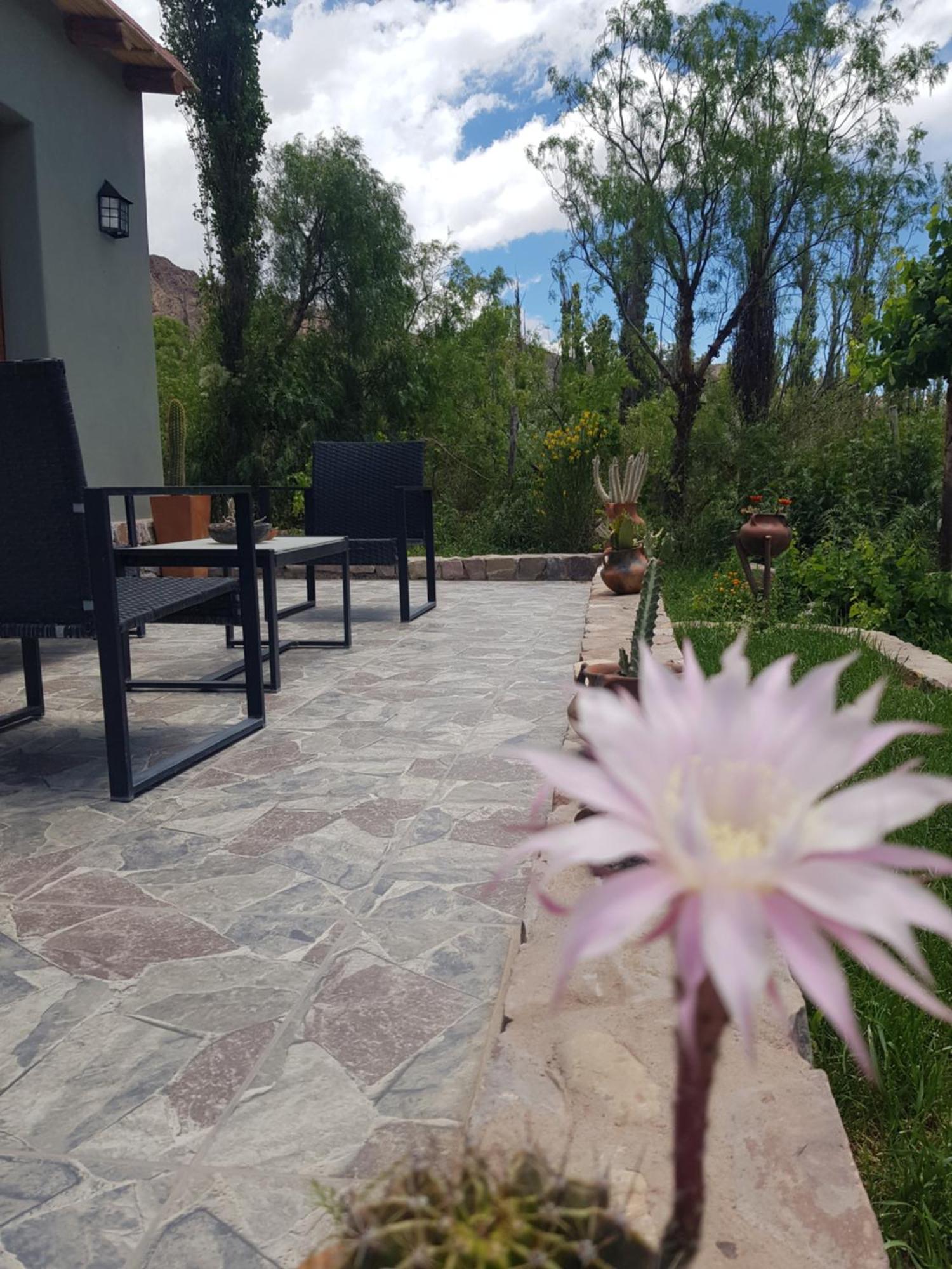 Tierra Primitiva Apartman Tilcara Kültér fotó