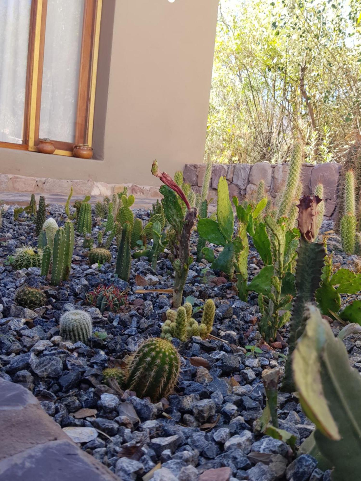 Tierra Primitiva Apartman Tilcara Kültér fotó